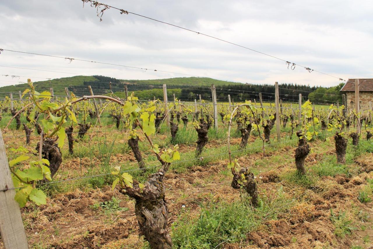 Domaine Joseph Lafarge Wine Resort Winemaker House La Maison Du Negociant Lugny Exterior photo