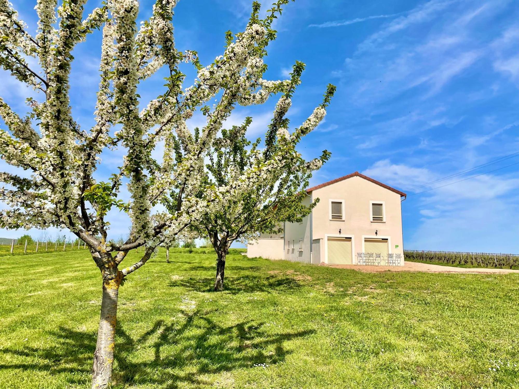 Domaine Joseph Lafarge Wine Resort Winemaker House La Maison Du Negociant Lugny Exterior photo